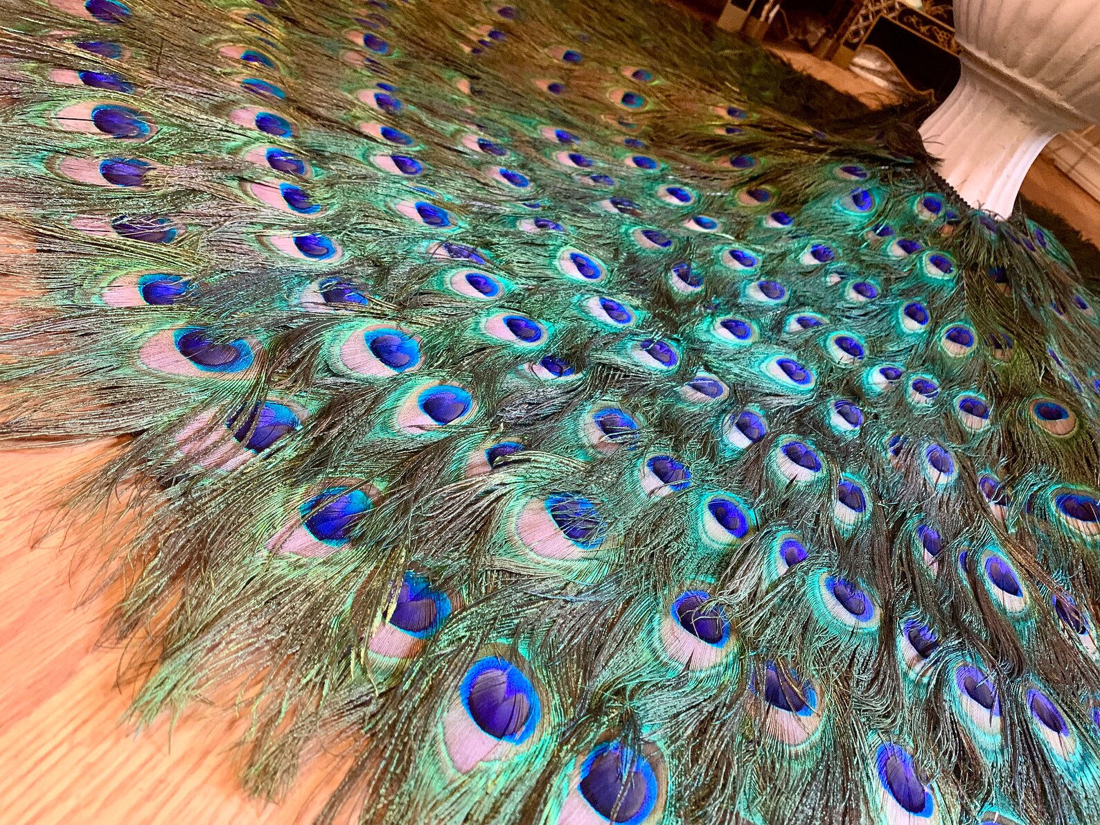 Peacock Feather Christmas Tree Skirt and Wall Hanging or Etsy Canada