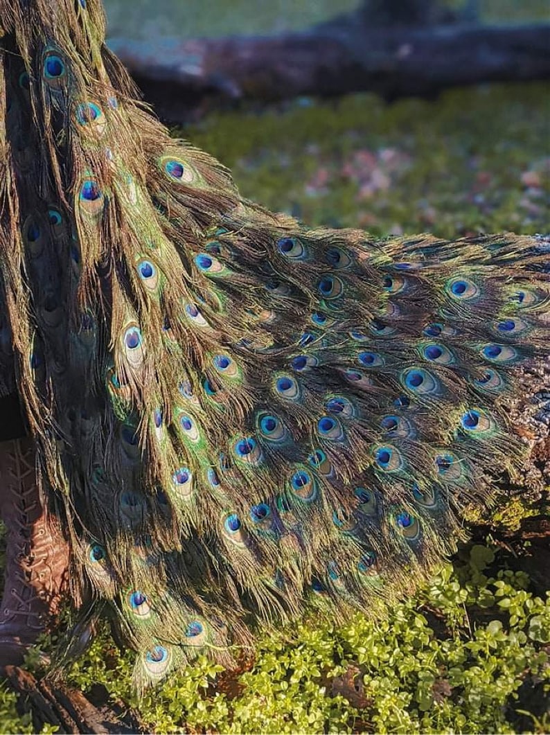 Romantic Renaissance Peacock Feather CAPE without hood in your choice of Lengths image 7