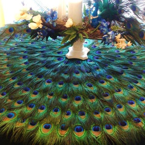 Extravagant Peacock Feather Mat - CUSTOM CREATED for YOU!