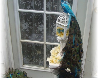Winning FOUR WEDDINGS Exquisite 48" Peacock Cake Topper in Your choice of Color accents