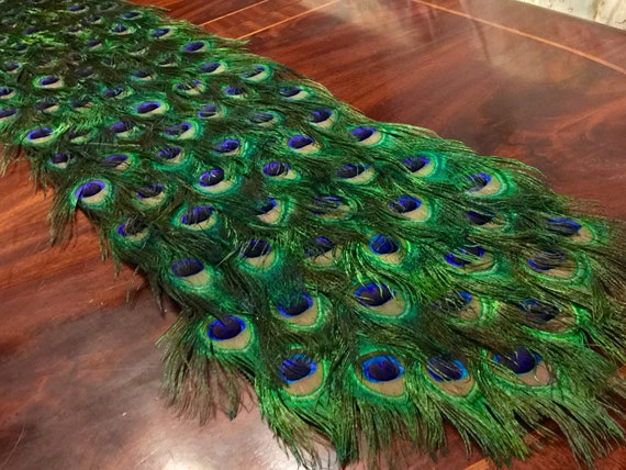 Disfraz de cola de plumas de pavo real en el largo que elijas -  México