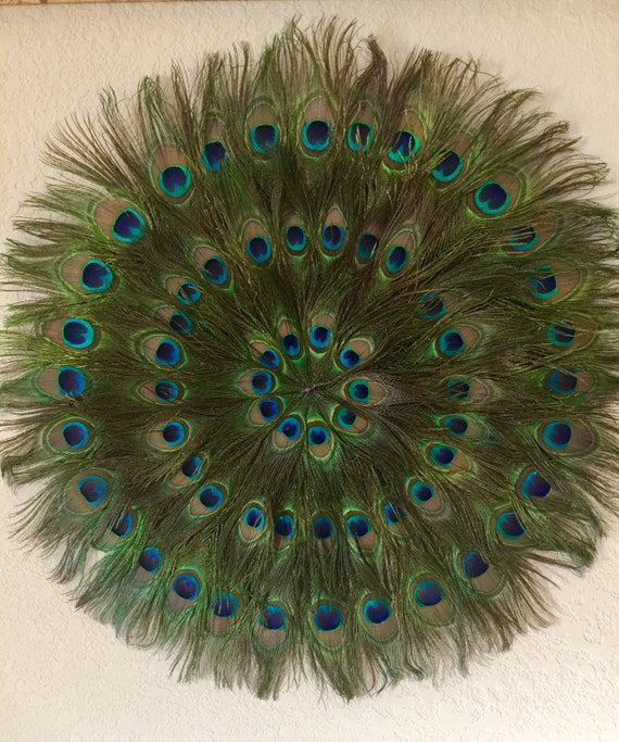 Extravagant Peacock Feather Wall Hanging OR Luxurious Mat for