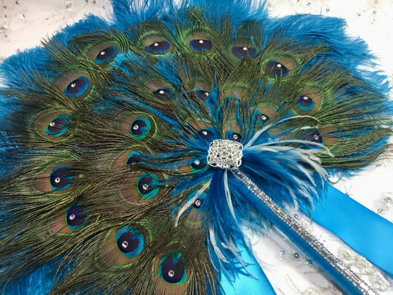 Plumas de pavo real – azul turquesa plumas de pavo real, pavo real espadas