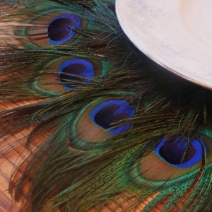 ON SALE Peacock Feather Mat Placemat or Centerpiece Decoration in your choice of sizes 10 30 image 4