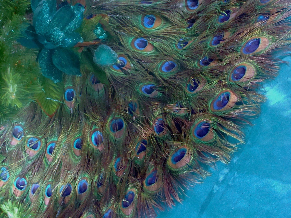 Peacock Feather Christmas Tree Skirt and Wall Hanging or Etsy