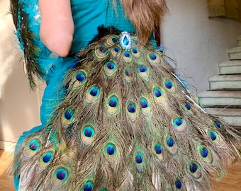 IN STOCK!  Peacock Feather Fan Tail AND Train Costume in Your Choice of Lengths!