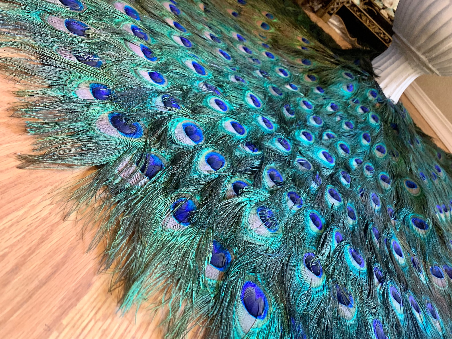 Peacock Feather Christmas Tree Skirt and Wall Hanging or Etsy Canada