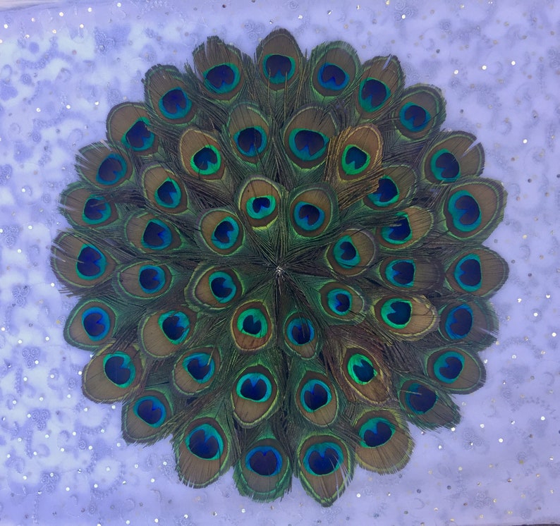 May include: A close-up of a peacock feather fan, with many green and blue feathers arranged in a circular pattern. The feathers have a iridescent sheen and are arranged in a circular pattern.