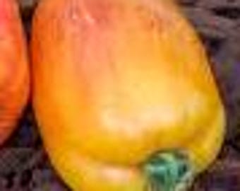 May include: A large, ripe, orange and red tomato with a green stem. The tomato is slightly misshapen and has a smooth skin.