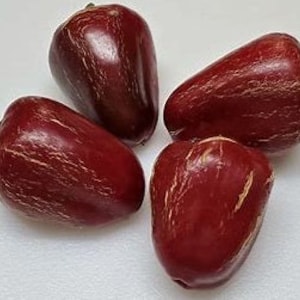 Dieghito Jalapeno-peperzaden 25-50 zaden