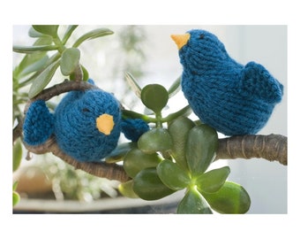 Bluebird Toy, Easter Gift for Child, Bird Toy, Bird Amigurumi,  Waldorf Toy