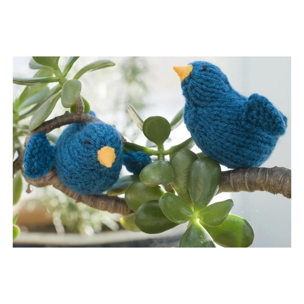 Bluebird Toy, Easter Gift for Child, Bird Toy, Bird Amigurumi,  Waldorf Toy