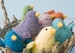Bird Stuffed Animal,  Stuffie Gift for Child,  Bird Plush Toy,  Baby Shower Gift 