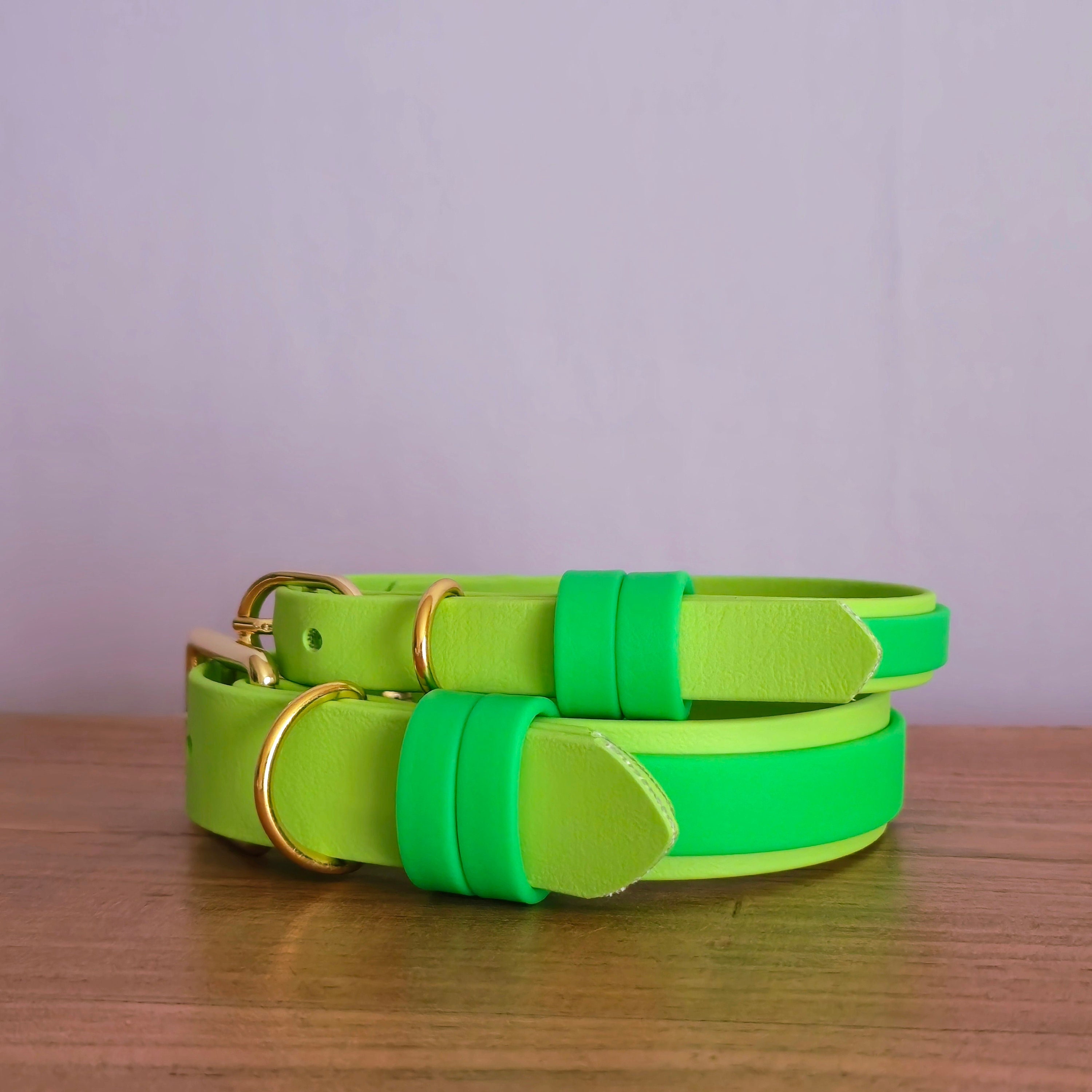 Green dog leash sales