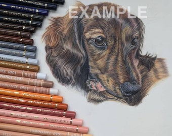Original Custom Colour Pencil Drawing