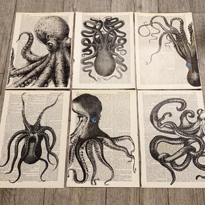 Oktopus-Drucke auf Vintage-Wörterbuchseite, 6 schwarze Oktopus-Poster, Meer-Ozean-Badezimmer-Wandkunst-Geschenk - R27