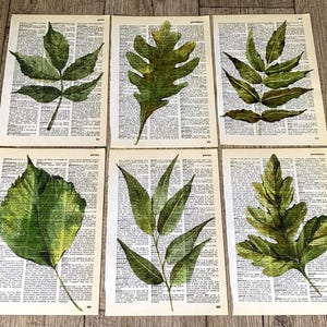 Set van 6 minimalistische bladplantenprints, bladkunstprint, moderne groene decorprint, plantbiologie - R94