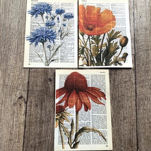 Impresión botánica en páginas de diccionario, decoración de pared con flores silvestres, 3 ilustraciones con temática floral de páginas de diccionario antiguas impresas/R84