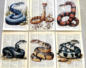 Conjunto de 6 pôsteres artísticos com tema de cobras, impressos em páginas de livros antigos - Decoração de parede vintage com arte de répteis/R150