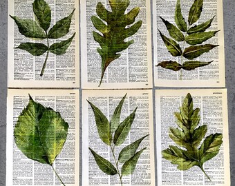 Botanische posters van groene bladeren op een oude woordenboekpagina, set van 6 vintage herbariumprints, natuurlijke wanddecoratie - R94