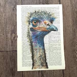 Original Wanddekoration Poster auf alter Buchseite mit Straußenmotiv, Straußenportrait, Straußendruck / R30
