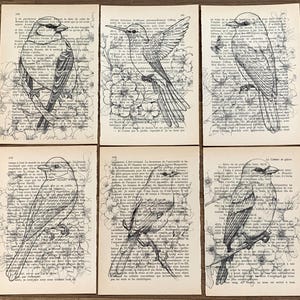 Poster di uccelli, stampe di animali, uccelli su dizionario, stampa murale artistica di uccelli, stampa di uccelli passeri/R13