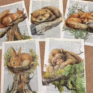Páginas de diccionario impresas sobre el tema de los animales, regalo de animales bebés para la habitación de los niños, nacimiento, Navidad, cumpleaños / R5