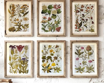 Floral Themed dictionary prints
