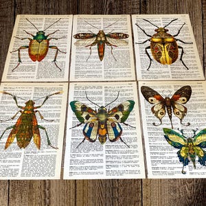 Insectenprints op een woordenboekpagina, wanddecoratie, kever, vlinder, efemere #R178