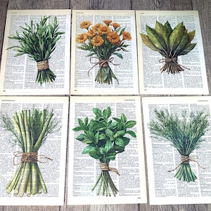 以下が含まれることがあります： ローズマリー、マリーゴールド、ローリエの葉など、ハーブや花のイラストが描かれた6枚の植物画セット。各プリントは、ひもで束ねられた植物の束を、ヴィンテージの辞書ページを背景に表示しています。