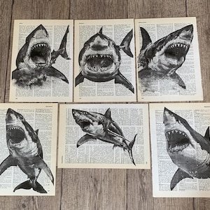 Sharks Print Set of Six Antique Dictionary Page Prints, Gift for Ocean and Cetacean Lover for Vintage Wall Decor, Shark prints- R77