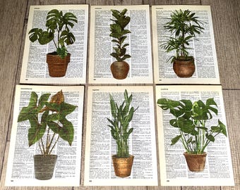 Set of 6 vintage botanical posters, green plant wall prints, vintage decor, botanical print, floral decoration, kitchen floral wall art