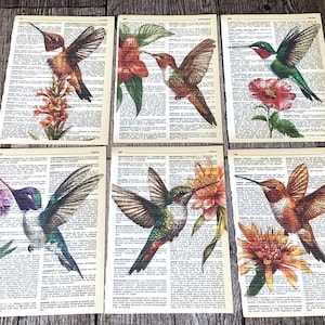 Könnte beinhalten: Set aus sechs Drucken im Vintage-Stil mit Illustrationen von Kolibris. Jeder Druck zeigt ein anderes Kolibri-Design mit leuchtenden Farben, kombiniert mit floralen Elementen, vor dem Hintergrund von Wörterbuchseiten. Die Drucke sind auf einer Holzoberfläche angeordnet.