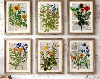 Floral themed dictionary prints /R15