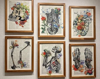 Op de afbeelding: Zes ingelijste kunstdrukken met anatomische illustraties van skeletten en bloemstukken. De prints zitten in houten frames en worden op een witte muur getoond. Het kunstwerk omvat een schedel, ribbenkast, hart, armen en handen, elk versierd met kleurrijke bloemen.