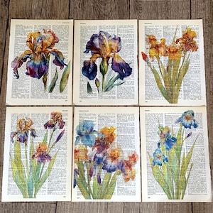 アイリスの壁アート、額装用の花のポスター6枚、アイリスのプリント、辞書のページの花のポスター /R78