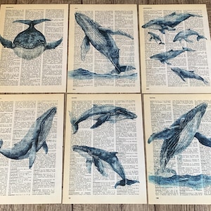 Whale Theme Dictionary Prints Ocean Wall Decor, 6 Prints for Sea Lovers Cetacean Fans - R136