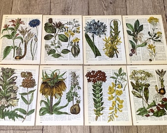 Floral Themed dictionary prints