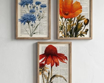 Floral Themed dictionary prints, 3 illustrations flower theme pages from old printed dictionary /66
