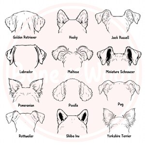 Hunderasse Ohren SVG | PNG Bündel | Kommerzielle Nutzung | Hundeohren Umriss Bündel | SVG für Cricut | SVG Clipart bund | Strichzeichnungen | Tattoo-Design