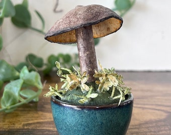 Mushroom collection, Nature inspired decor, Spring home decor, Woodland home decor, Okubo Originals, Mushroom gift