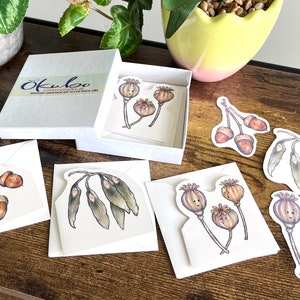 Blank note cards and sticker gift pack, Spring botanical set, Nature design, Okubo Originals, Acorn, Poppy seed, Ash seed, Spring gift set image 2