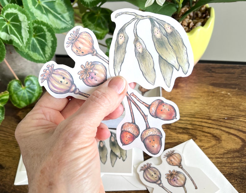 Blank note cards and sticker gift pack, Spring botanical set, Nature design, Okubo Originals, Acorn, Poppy seed, Ash seed, Spring gift set image 5