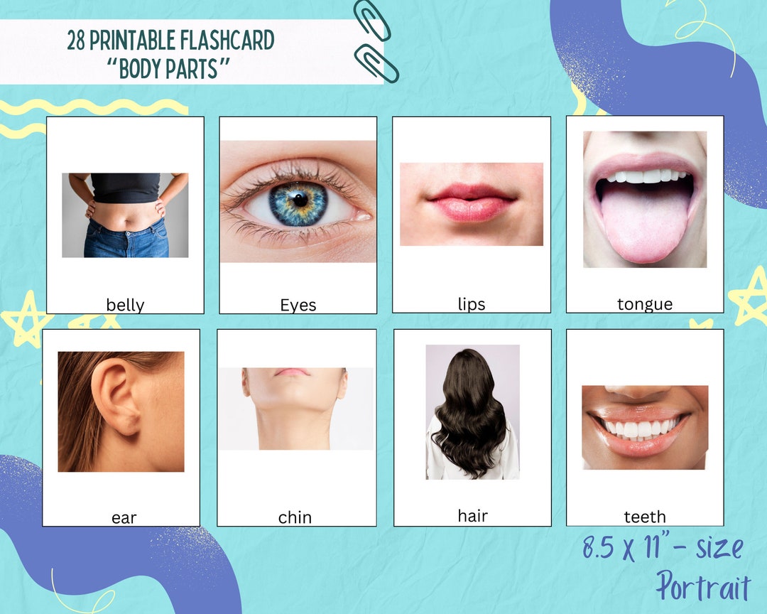 Body Parts Flashcards Printable Education Flashcards for Kids - Etsy