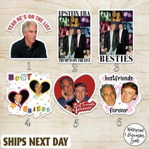 Besties Trump And Epstein Best Friends Forever Sticker/Car Magnet, Satirical Anti-Trump Political Sticker, Vinyl Sticker, Activist, Decal