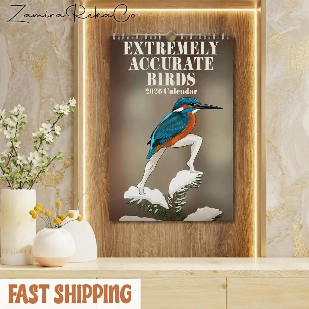 Funny Bird Wall Calendar 2026 | Cute Cartoon Birds Calendar | Whimsical ...