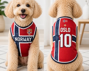Personalisierte Norwegen Hund Fußball Trikot, benutzerdefinierte Haustier Name Nummer Shirt, Norwegen inspiriert Haustier Trikot, Fußball-Fan-Hunde Outfit