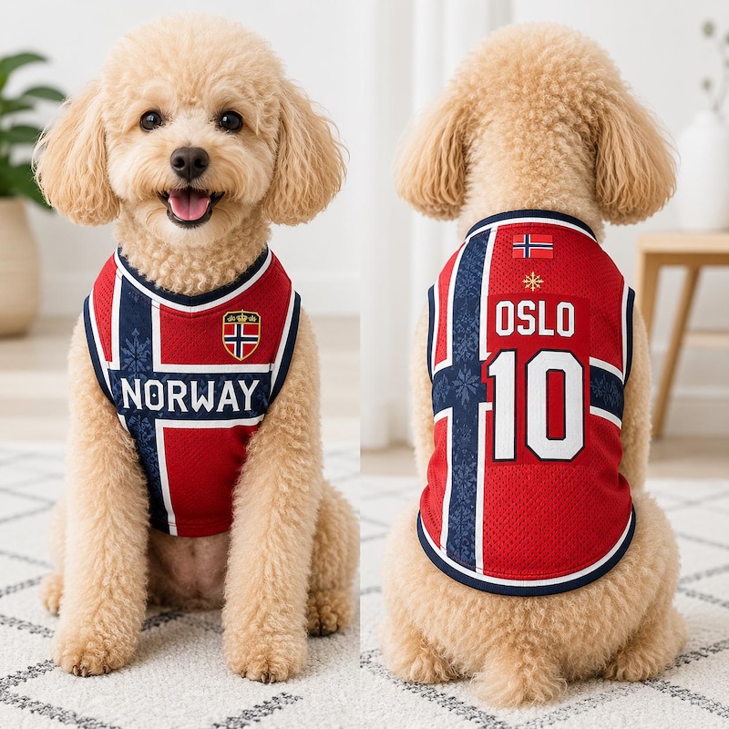Dog Soccer Jersey Norway Etsy comfort-colors-soccer-star-shirt-soccer-star-norway-vintage-t-shirt
