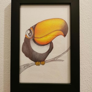 Carte Postale reproduction - Toucan
