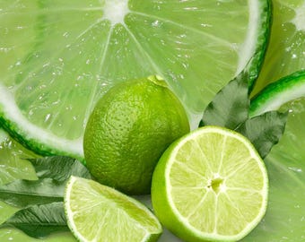 CÍTRICOS – Ätherisches Öl Limette / Digitale Broschüre Aromatherapie Guide für Anfänger